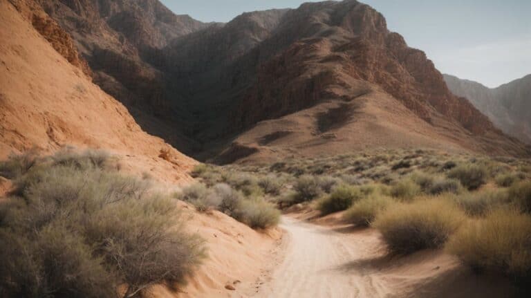 mit insiderwissen: unsere oman urlaub tipps