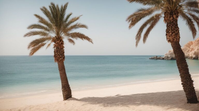 tipps für einen unvergesslichen familienurlaub im oman